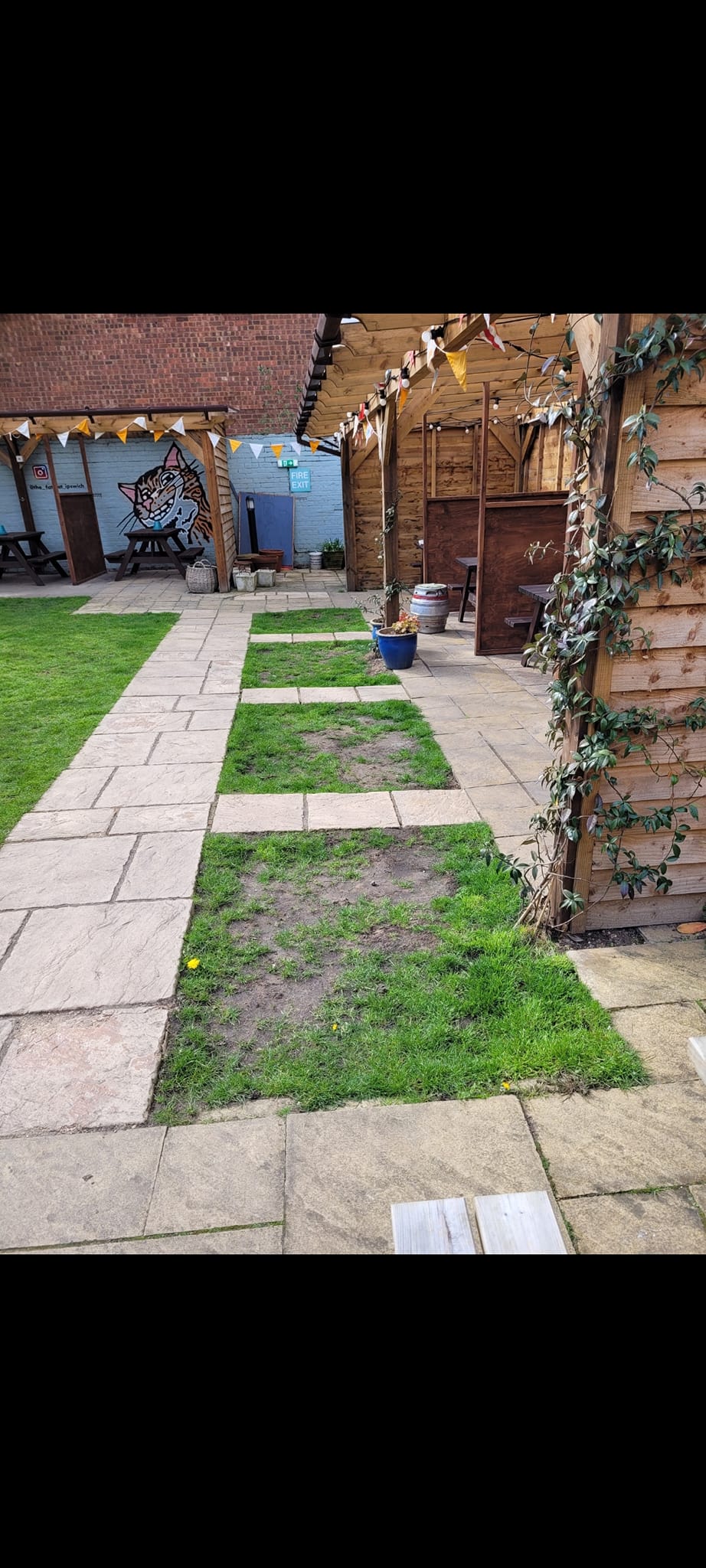 347414016_1656347668170611_6080123721970978753_n